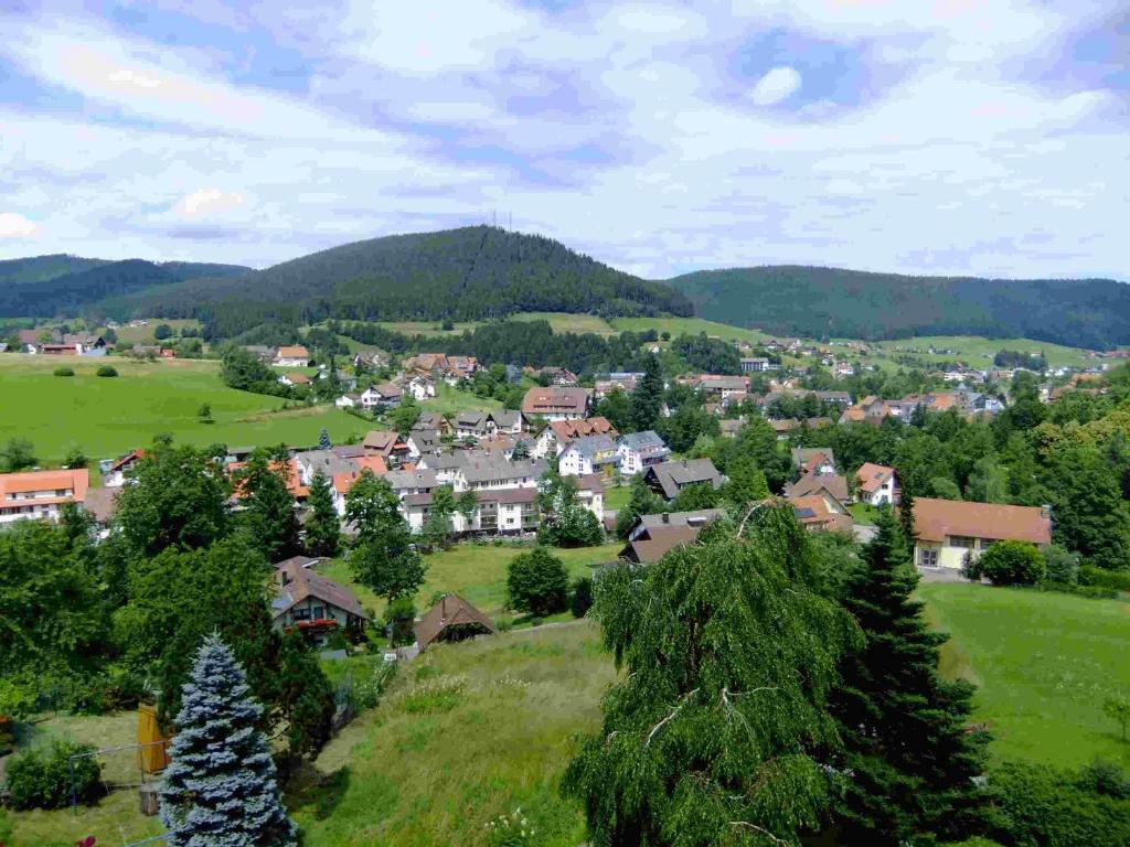 Oberdeisenhof Land- Und Wanderhotel Garni Baiersbronn Luaran gambar